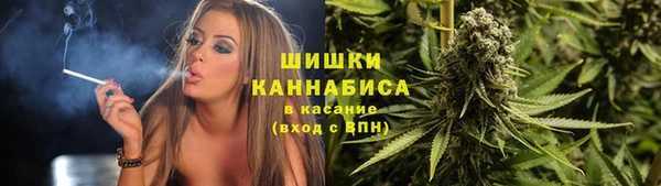 PSILOCYBIN Магас