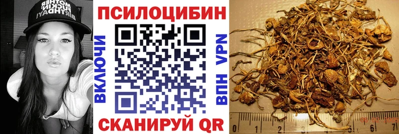 Псилоцибиновые грибы мицелий  где можно купить   Новокузнецк 