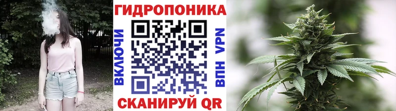 Марихуана OG Kush  Новокузнецк 